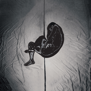 操东娘们的视频
